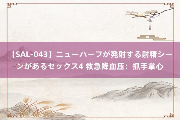 【SAL-043】ニューハーフが発射する射精シーンがあるセックス4 救急降血压:抓手掌心