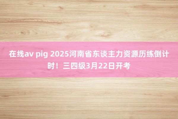 在线av pig 2025河南省东谈主力资源历练倒计时！三四级3月22日开考