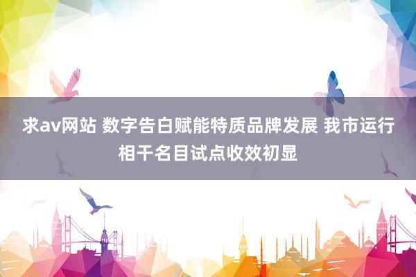 求av网站 数字告白赋能特质品牌发展 我市运行相干名目试点收效初显
