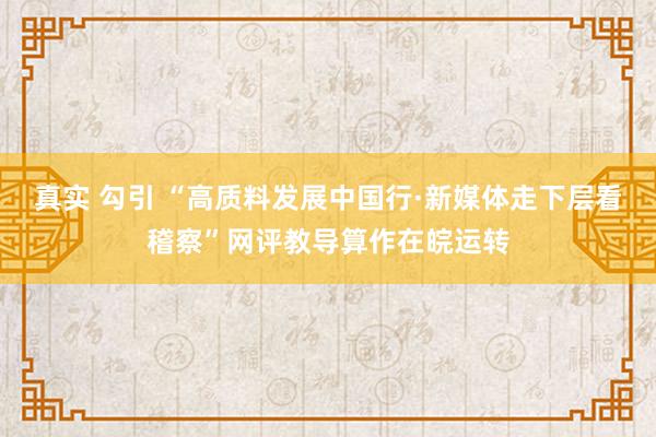 真实 勾引 “高质料发展中国行·新媒体走下层看稽察”网评教导算作在皖运转