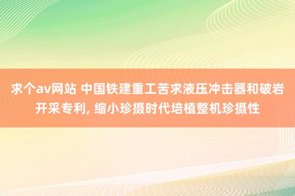 求个av网站 中国铁建重工苦求液压冲击器和破岩开采专利, 缩小珍摄时代培植整机珍摄性
