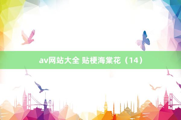 av网站大全 贴梗海棠花（14）