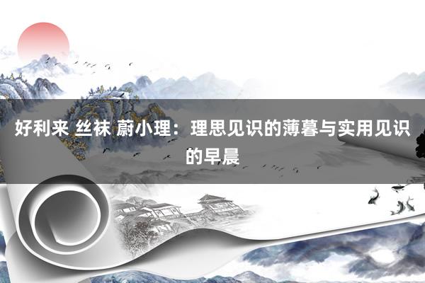 好利来 丝袜 蔚小理：理思见识的薄暮与实用见识的早晨