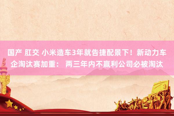国产 肛交 小米造车3年就告捷配景下！新动力车企淘汰赛加重： 两三年内不赢利公司必被淘汰